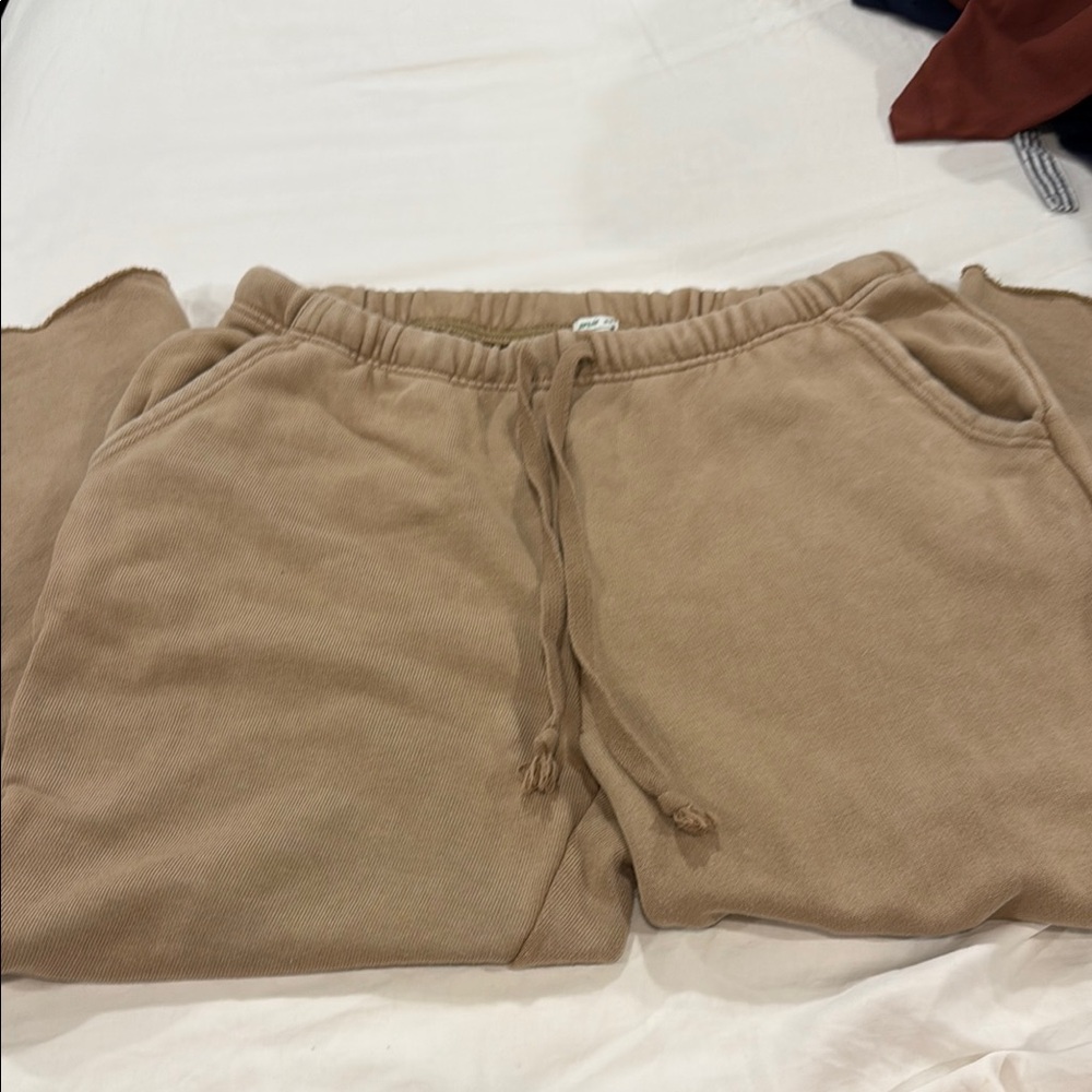Aerie Women joggers.